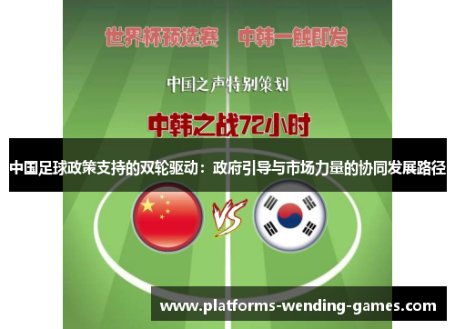 中国足球政策支持的双轮驱动：政府引导与市场力量的协同发展路径