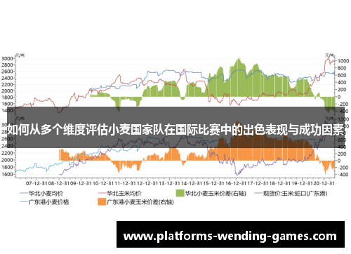 如何从多个维度评估小麦国家队在国际比赛中的出色表现与成功因素