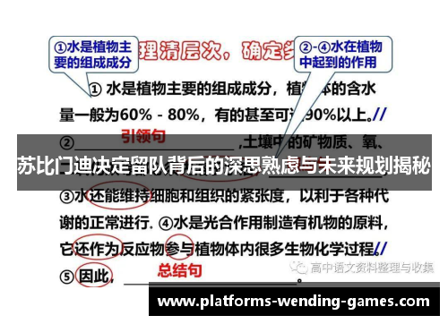 苏比门迪决定留队背后的深思熟虑与未来规划揭秘