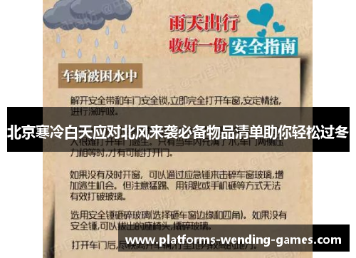 北京寒冷白天应对北风来袭必备物品清单助你轻松过冬