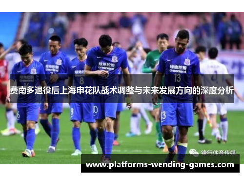 费南多退役后上海申花队战术调整与未来发展方向的深度分析