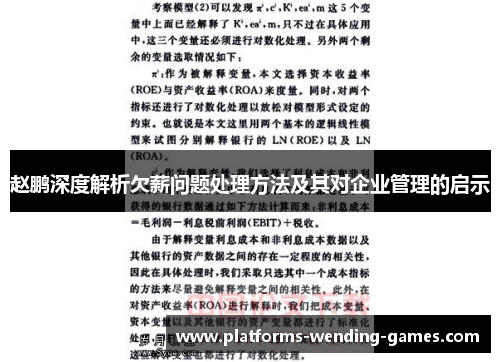 赵鹏深度解析欠薪问题处理方法及其对企业管理的启示