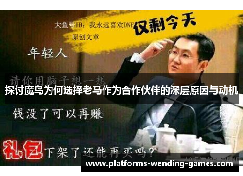 探讨魔鸟为何选择老马作为合作伙伴的深层原因与动机