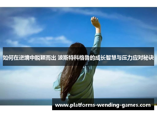 如何在逆境中脱颖而出 波斯特科格鲁的成长智慧与压力应对秘诀