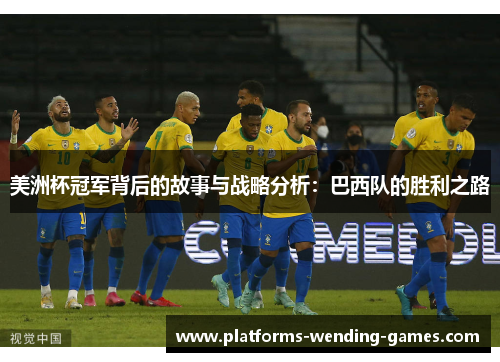 美洲杯冠军背后的故事与战略分析：巴西队的胜利之路