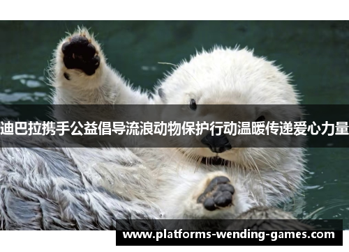 迪巴拉携手公益倡导流浪动物保护行动温暖传递爱心力量 迪巴拉携手公益倡导流浪动物保护行动温暖传递爱心力量