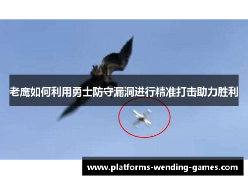 老鹰如何利用勇士防守漏洞进行精准打击助力胜利