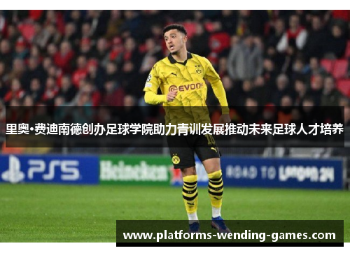 里奥·费迪南德创办足球学院助力青训发展推动未来足球人才培养