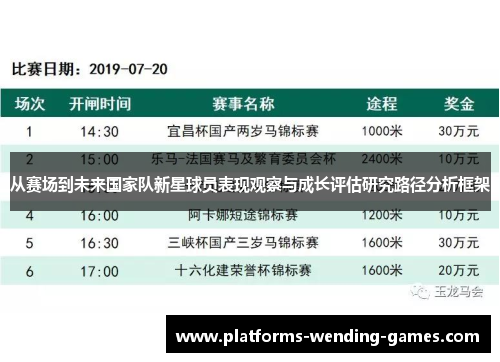 从赛场到未来国家队新星球员表现观察与成长评估研究路径分析框架